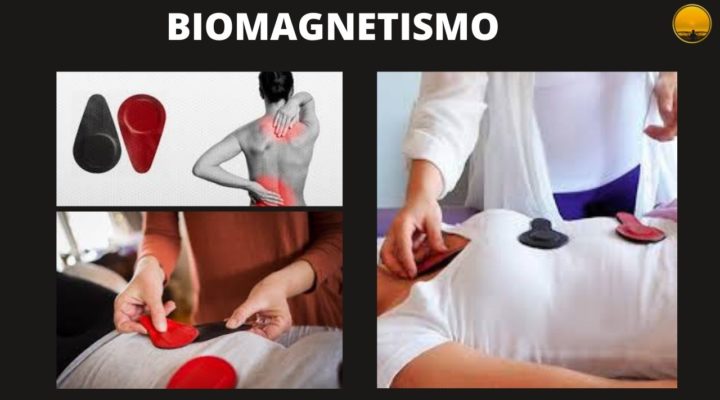 O QUE É BIOMAGNETISMO